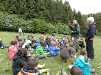 Gîte Classes Vertes