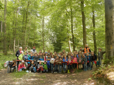 Gîte Classes Vertes