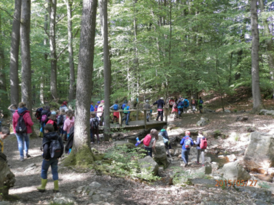 Gîte Classes Vertes