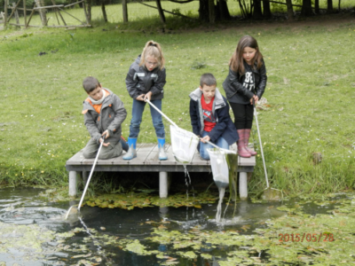 Gîte Classes Vertes